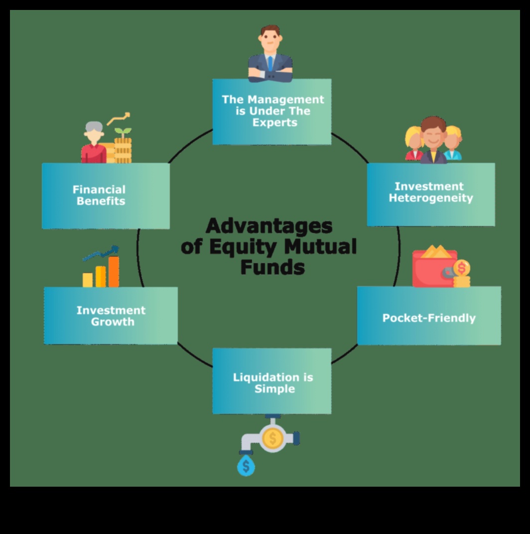 Understanding Equity Funds 1